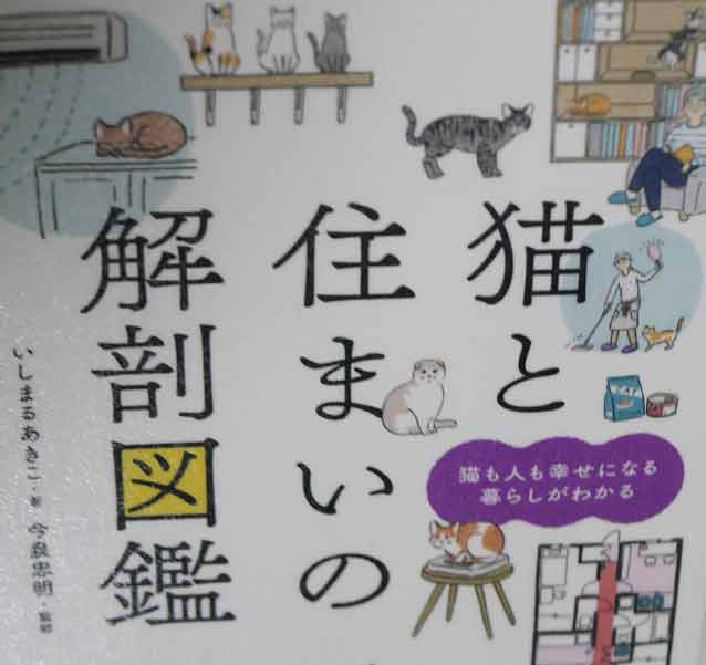 記事：