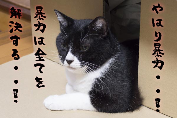記事：