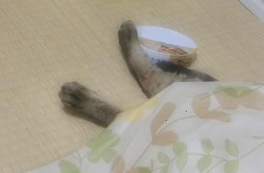 記事：